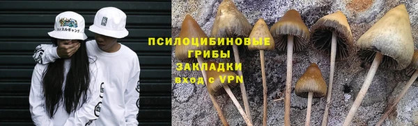 гашик Киренск